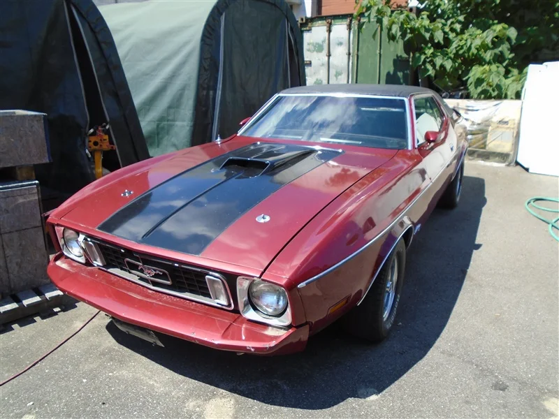 red black classic mustang